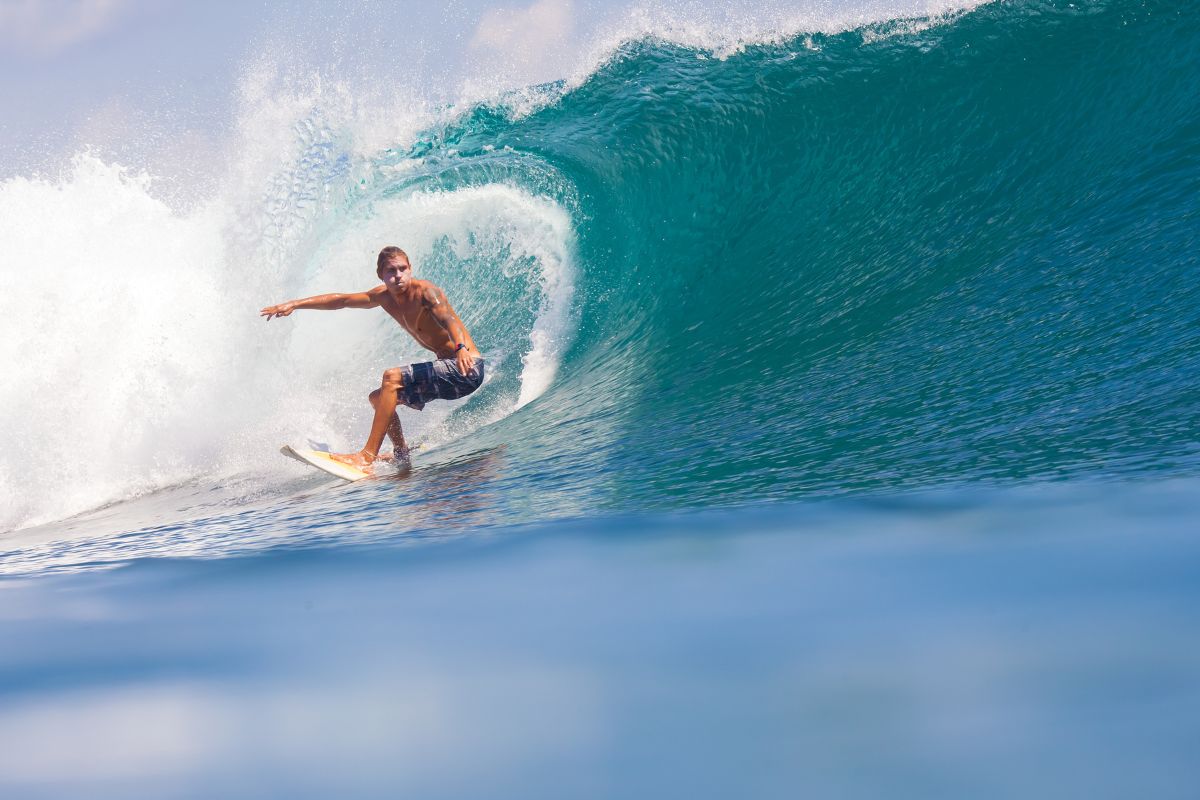 surfer at sydney beech